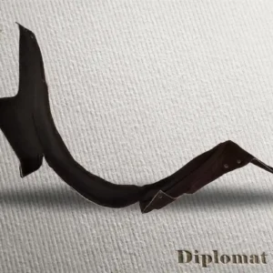 قیمت شلگیر اچ سی کراس